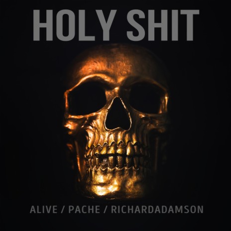 HOLY SHIT ft. PACHE & RICHARDADAMSON | Boomplay Music