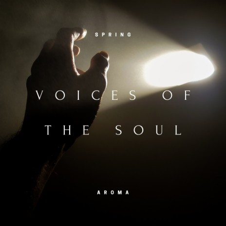 Voices of the Soul (Rain) ft. Bringer of Zen & Reiki