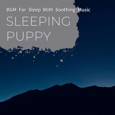 The Pianist is Napping | Boomplay Music