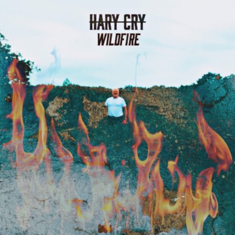 WILDFIRE | Boomplay Music