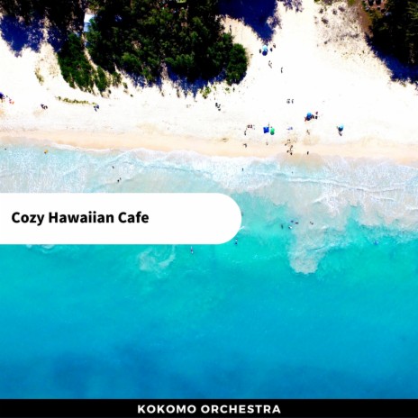 Leaving Hawaii | Boomplay Music