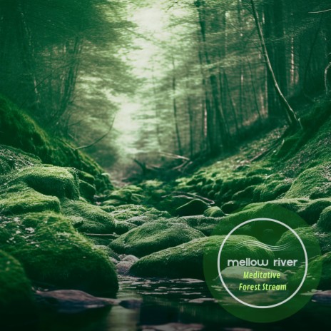 Meditative Forest Stream | Boomplay Music