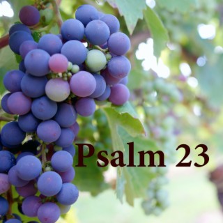 Psalm 23