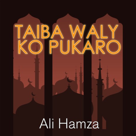 Taiba Waly Ko Pukaro | Boomplay Music