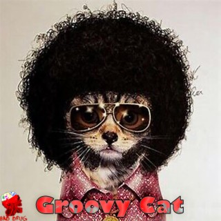 Groovy Cat