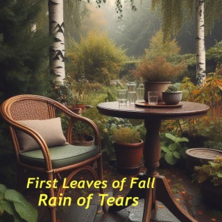 Rain of Tears lyrics | Boomplay Music