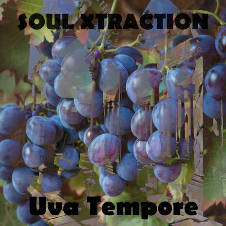 Uva Tempore | Boomplay Music