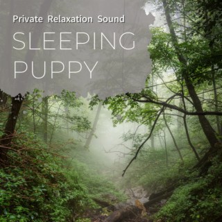 Private Relaxation Sound