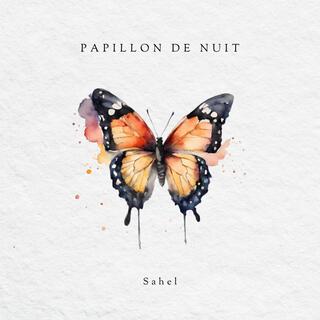 Papillon de nuit