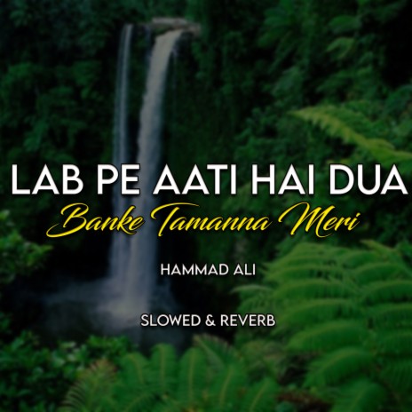 Lab Pe Aati Hai Dua Banke Tamanna Meri Lofi | Boomplay Music
