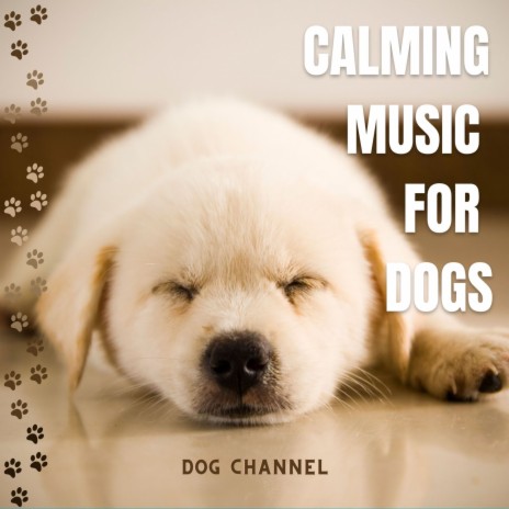Calming Song for Dog