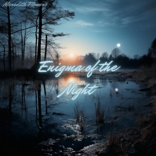 Enigma of the Night: Mystical Nature Melodies