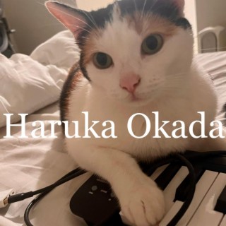 Haruka chill beats (instrumental)