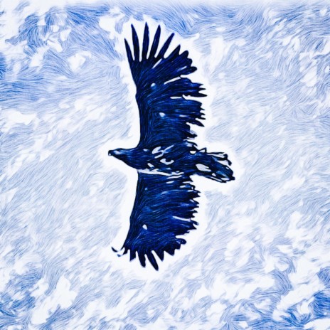 Sea Eagle | Boomplay Music