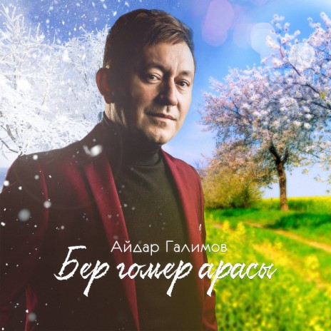 Бер гомер арасы