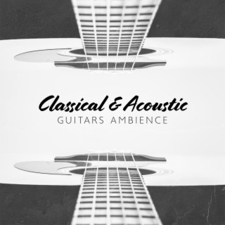 Classical & Acoustic Guitars Ambience