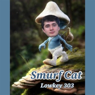 Smurf Cat