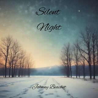 Silent Night lyrics | Boomplay Music