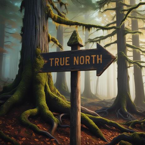 True North | Boomplay Music