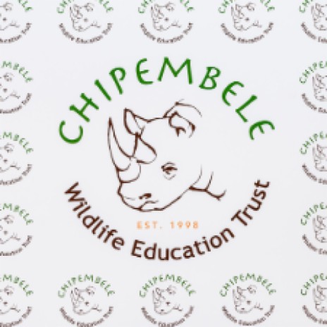 Chipembele Theme Song | Boomplay Music