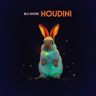 Houdini (Reimagined)