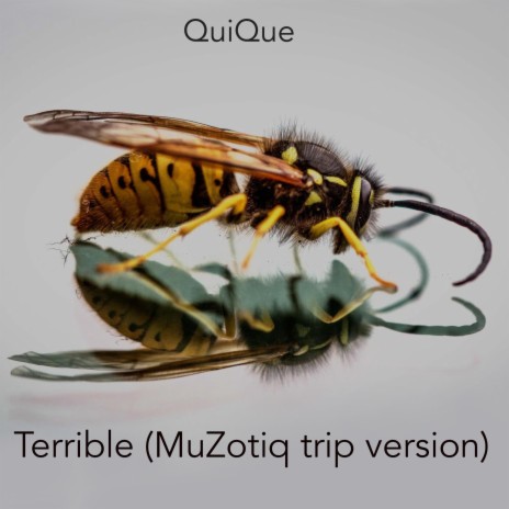 Terrible (MuZotiq trip version)