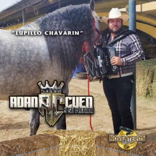 Lupillo Chavarin