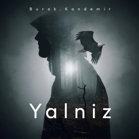 Yalniz | Boomplay Music