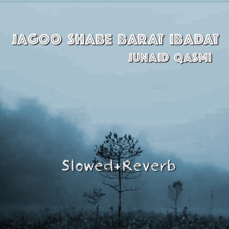 Jagoo Shabe Barat Ibadat | Boomplay Music