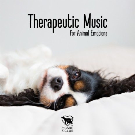 Sleeping Music For Pets