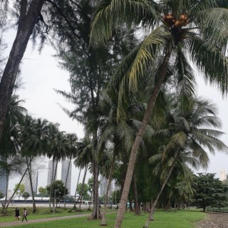 Promenade (Sousange)