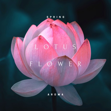 Lotus Flower (Night) ft. Bringer of Zen & Reiki