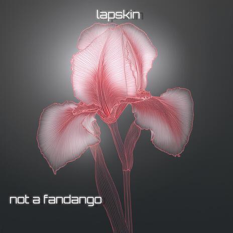 not a fandango | Boomplay Music