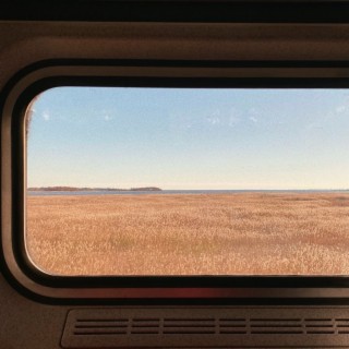 holding hands on trains