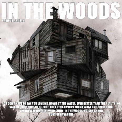 In The Woods | Boomplay Music