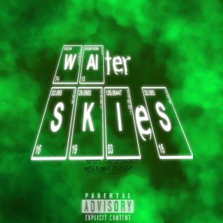 WALTER SKIES