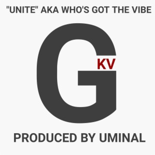 UNITE AKA WHOS GOT THE VIBE