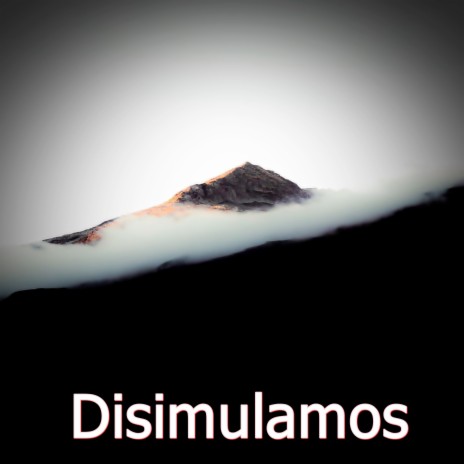 Disimulamos