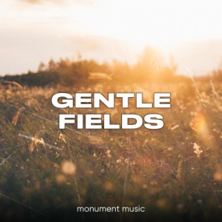 Gentle Fields