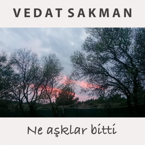 Ne Aşklar Bitti