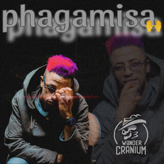 Phagamisa