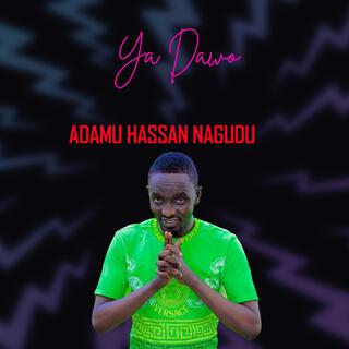 Adamu Hassan Nagudu Ya Dawo