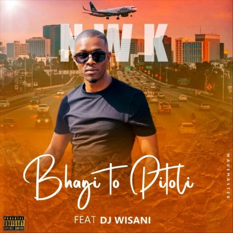 Bhayi To Pitoli (feat. DJ Wisani) | Boomplay Music