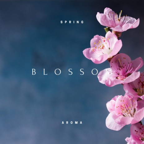 Blossom (Night) ft. Bringer of Zen & Reiki | Boomplay Music