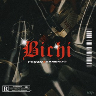 BICHI ft. Ramendo & AlanRoss lyrics | Boomplay Music