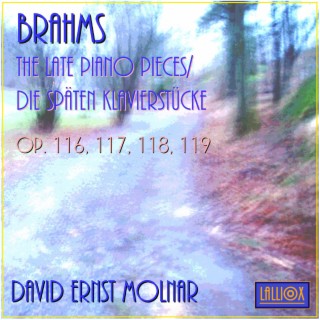 Brahms: The Late Piano Pieces / Die Späten Klavierstücke Op. 116, 117, 118, 119