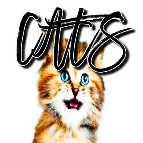 CATS | Boomplay Music