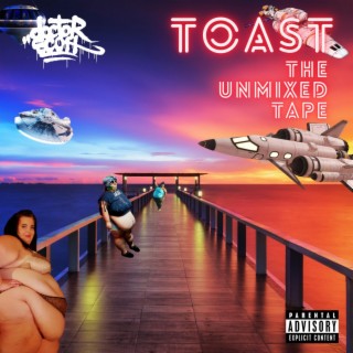 Toast: The Unmixed Tape