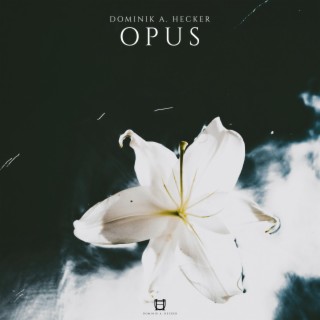 Opus