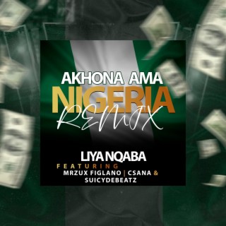 Akhona Ama Nigeria (Remix)